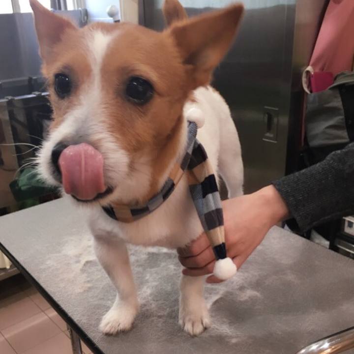 2cae6a9f c640 4935 863c 040c200f679f