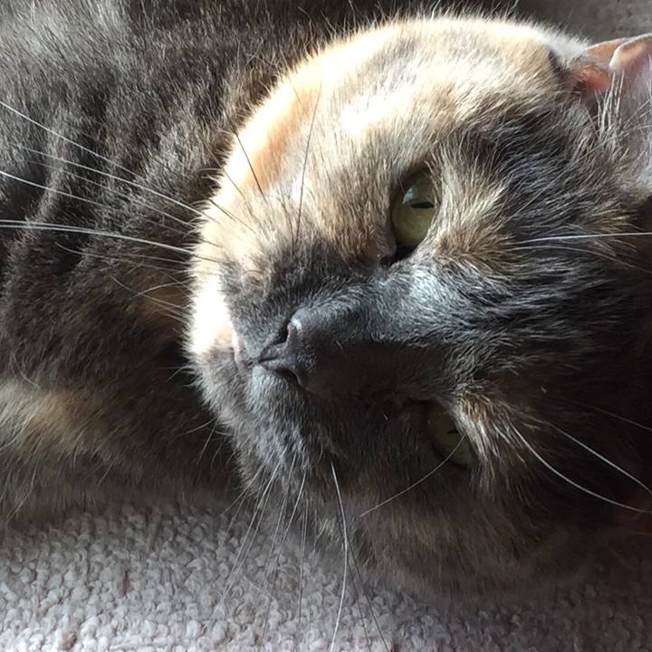 2caedbfd 2cc8 46c9 b6d8 0ff378819740