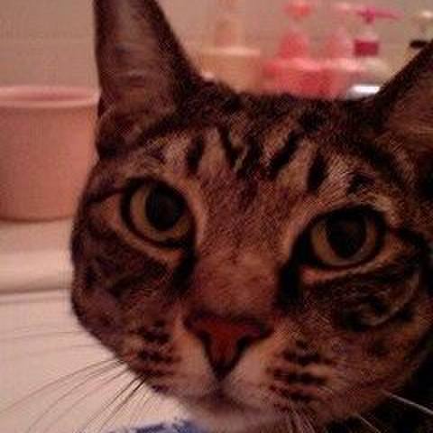 2caf8d68 4a65 4b89 9942 3bfec2c00765