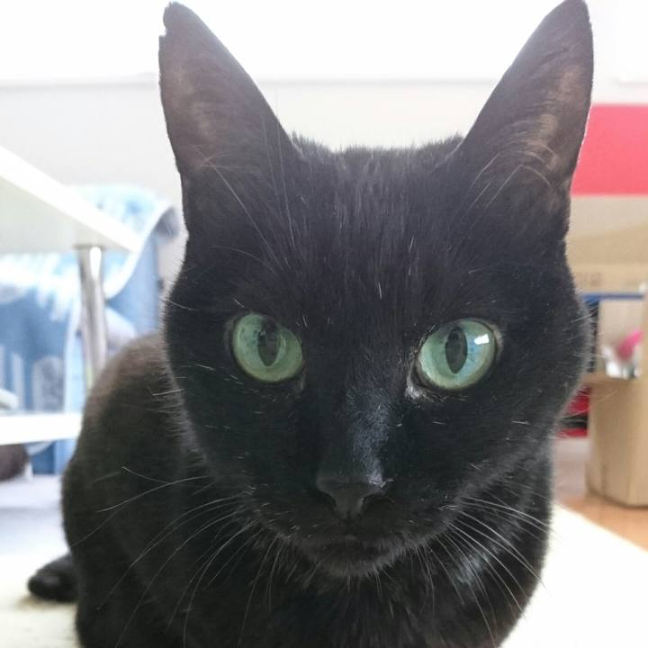 2caf982b 436e 46b6 ad09 929040c397b2