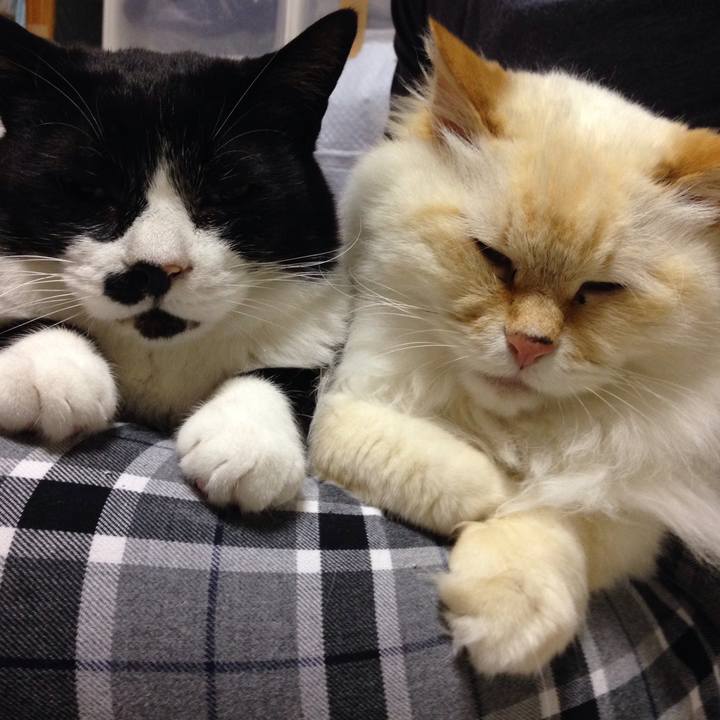 2cb0ae81 4121 4362 8be3 6bad2e99081e