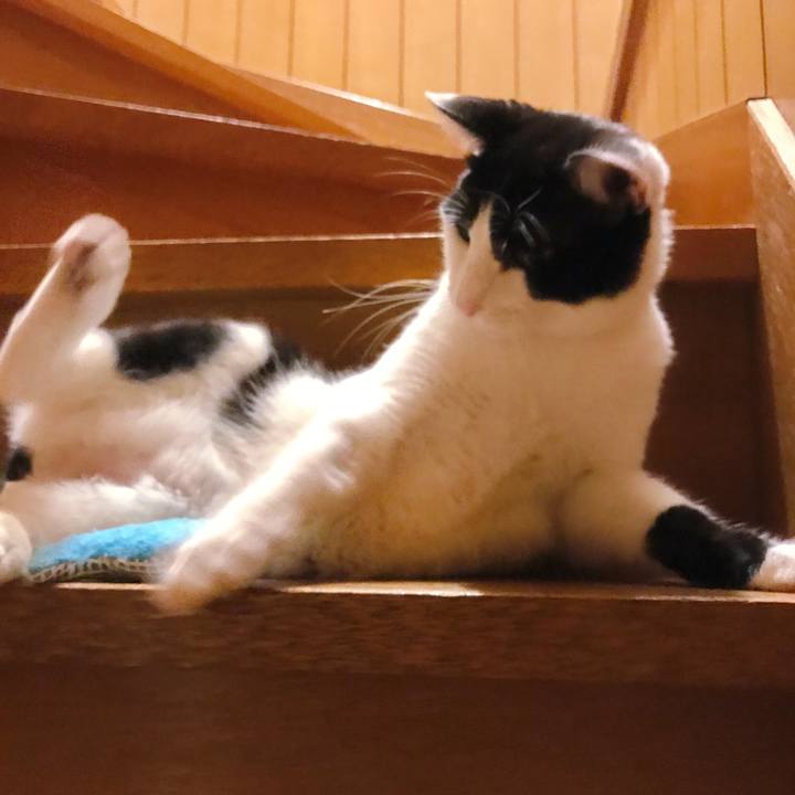 2cb0da73 eab0 49a8 8057 e0c1771b95d2