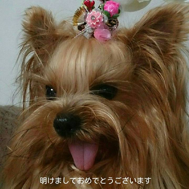 2cb187bf e106 4f6d b597 8f41a69aa89d