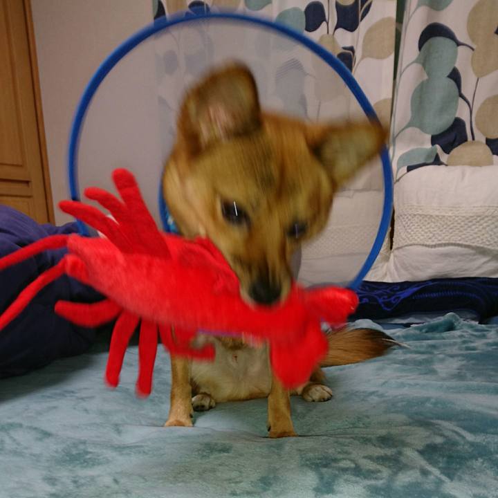 2cb21e86 3a59 4d2e b4fe 2ff873a14d0f