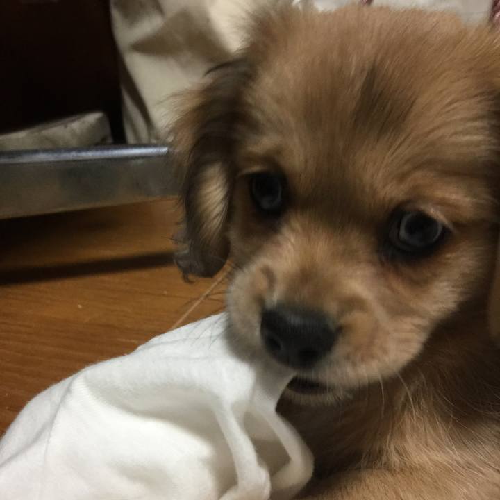 2cb2f88c bce5 4e5c a4b3 bd9e45735dd6