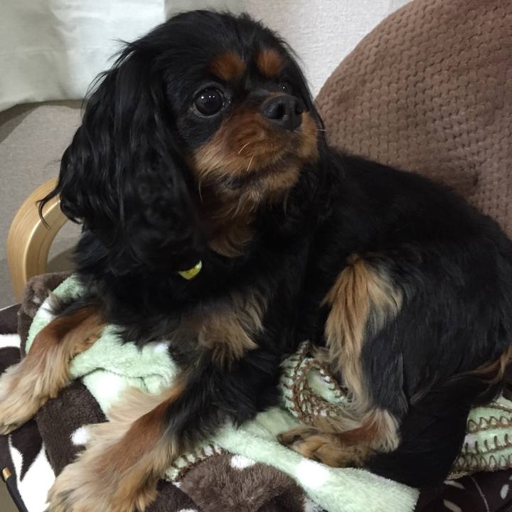 2cb30409 1c7d 4a13 ab42 108178f9302e