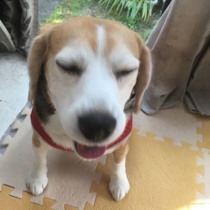 2cb3359d f0df 48aa 9ad3 6579cf4f7024