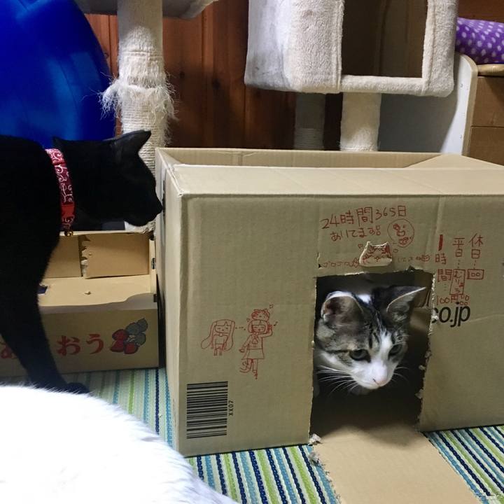 2cb34592 e023 4508 9ece d57b0c3816d8