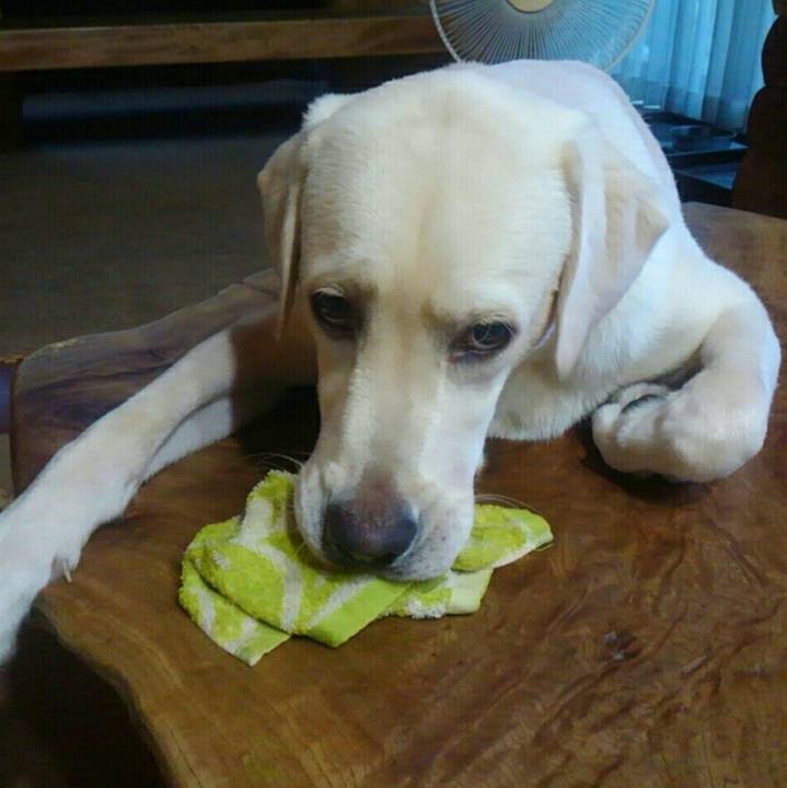 2cb371c6 2e45 497a 8e04 bebb7d347c11