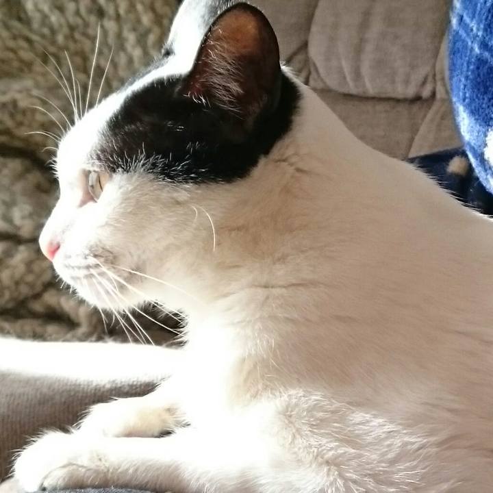 2cb385e8 194a 4fe1 8d8e 6f57cb2b5e19