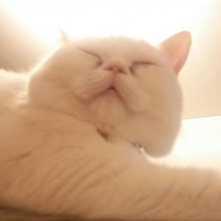 2cb434d2 8878 454c b010 a4a2588e072a