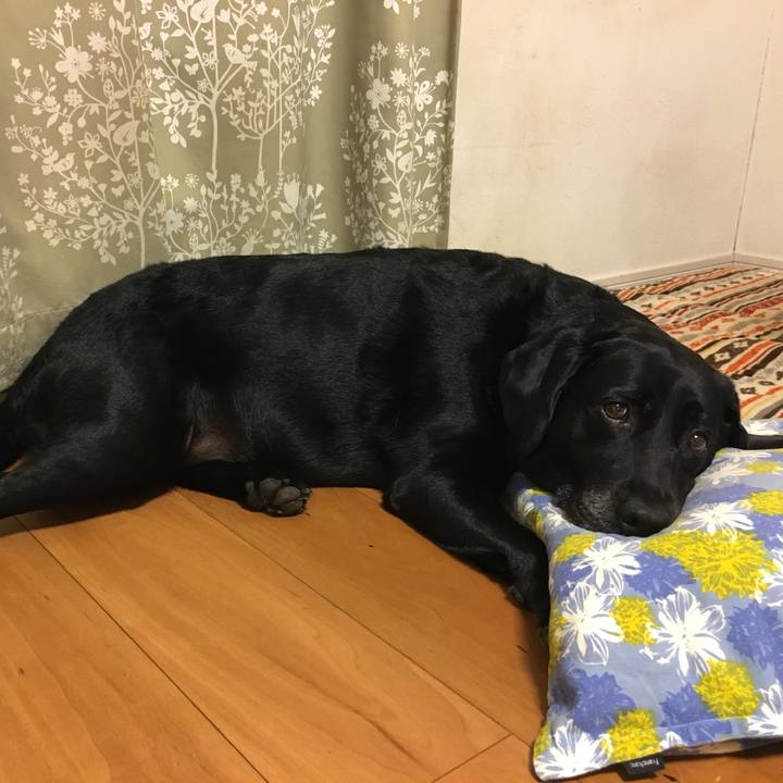 2cb4b8dc 4926 464f a5ea 2e2b98860256