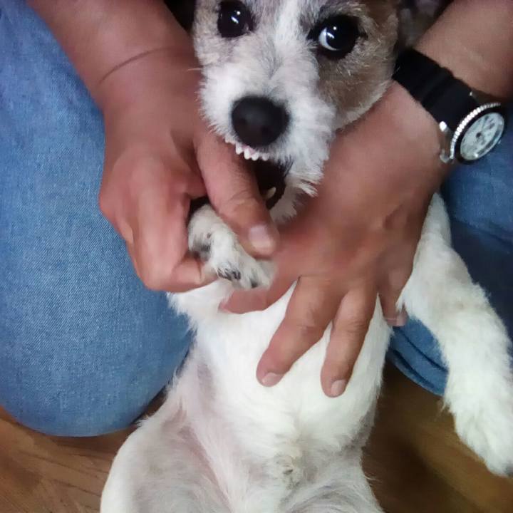 2cb4d703 1a80 4eb1 902c 1c659a29210d