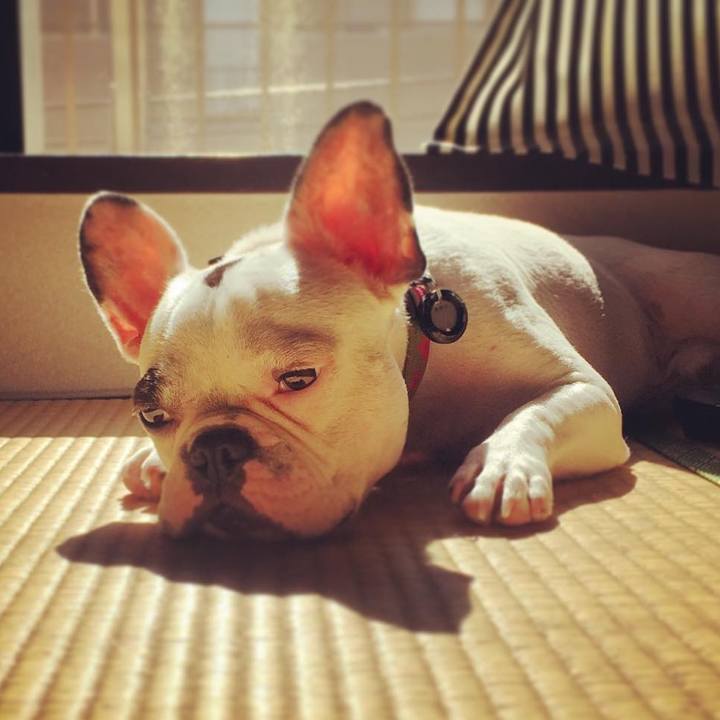 2cb5a892 f868 4025 af5b a766a97eb0a3