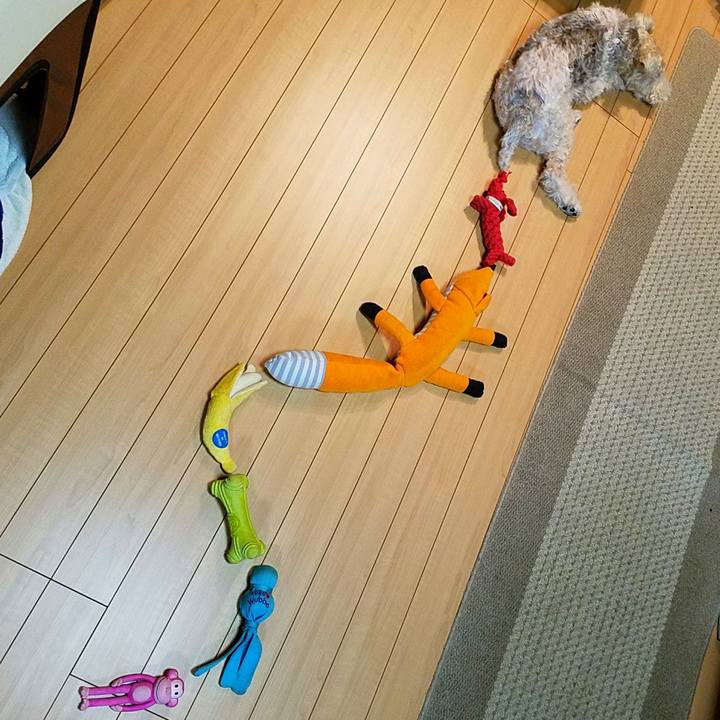 2cb5e74c c300 497d b397 055827fe42c0