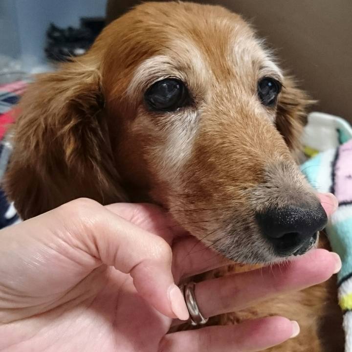 2cb60444 70cf 4112 9362 8bb1891fd47d