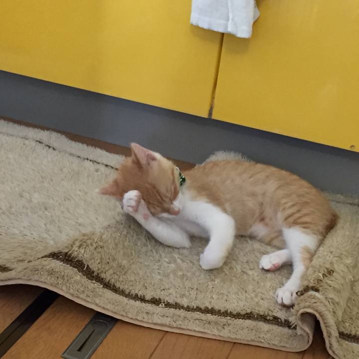 2cb6bb18 12af 4179 96e2 d4dc9901c675