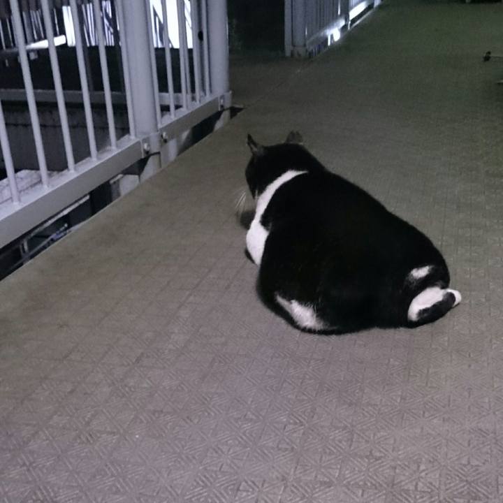 2cb6c556 1859 4788 b46e a119c5d37e25