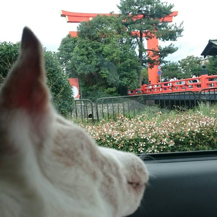 2cb6df52 8f4c 4cd3 9826 dfae3e0d7dc1