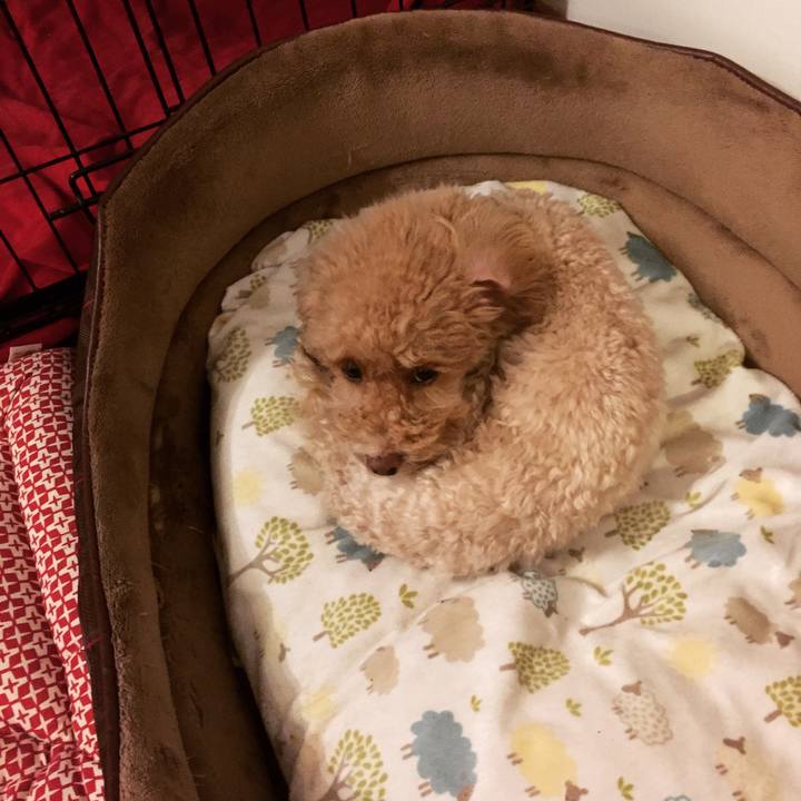 2cb7486f de61 4307 86ab 688f67a2f19c