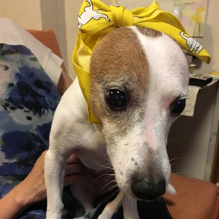 2cb84d17 438f 47b5 b90c c0e4160c89aa