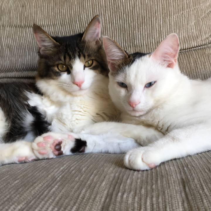 2cb870c9 1e3e 4c9e bf15 04635a2fbbd2