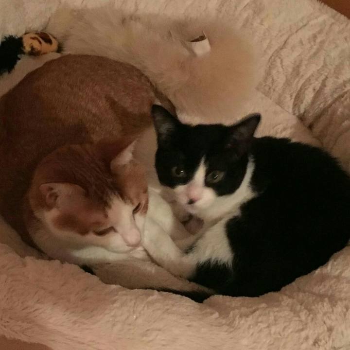 2cb8d8d3 5752 4141 a2f9 02ca571fedbe