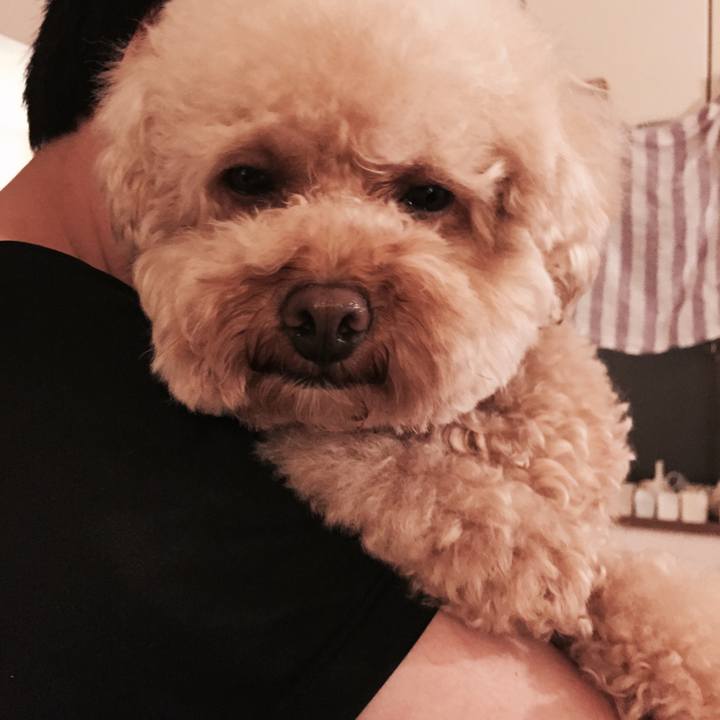 2cba00c8 2b9f 4a9d ad4f 7c68605a396f