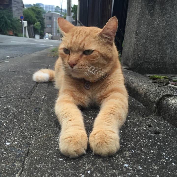 2cba040c bd86 4bbe 8f4f 40c085b5e46e