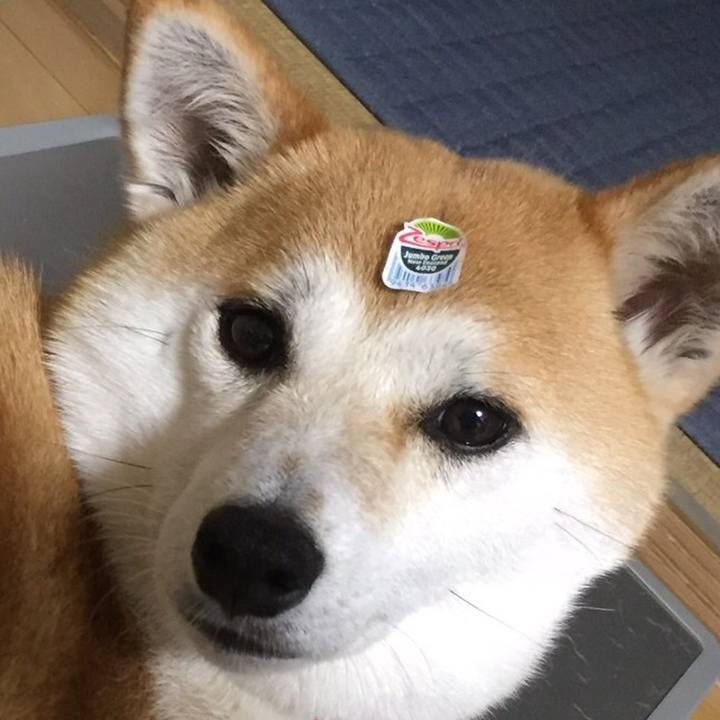 2cbab2f0 b4ba 446a 93c2 e67d437e9001