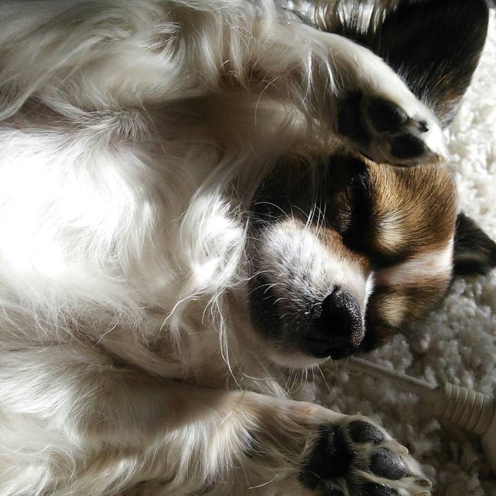 2cbab303 ee7f 4def a8d6 3962a8a40e77