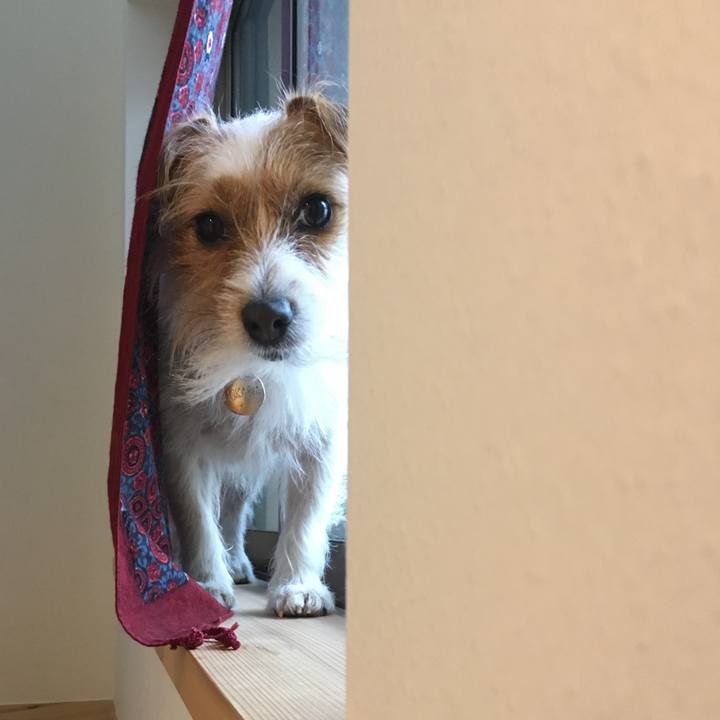 2cbaf3cf 4d13 4881 96d7 8958a117ffc7