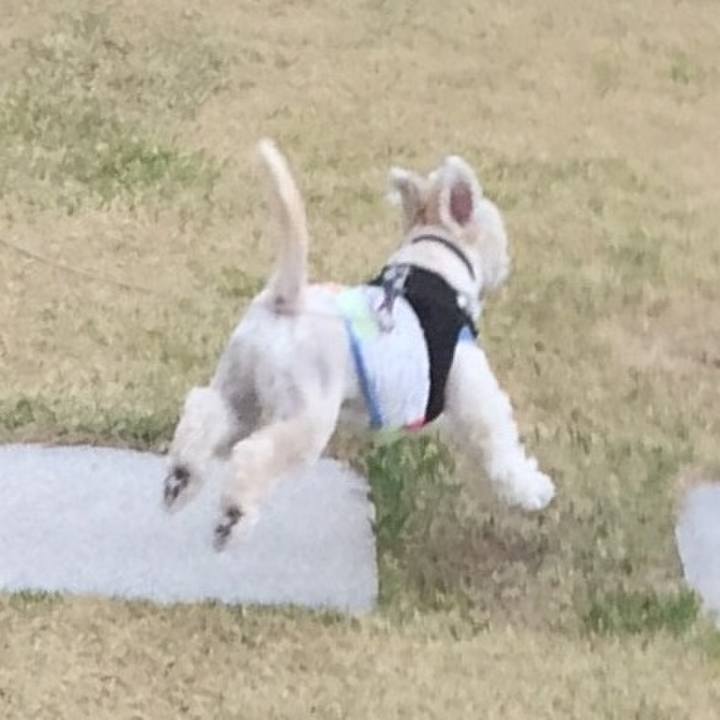 2cbbb11e 8b84 420d 9884 03a8c19251e9