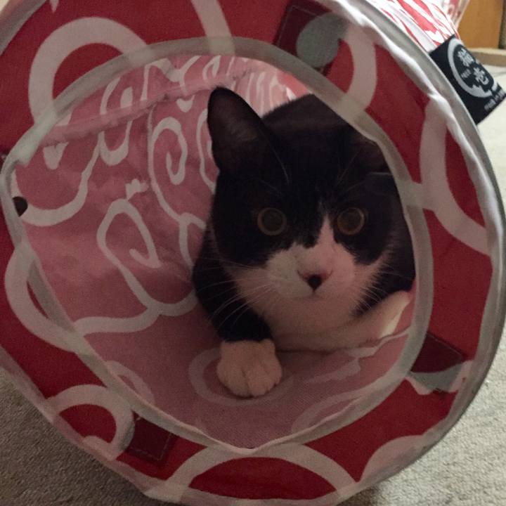 2cbbd8bb d885 4caa afa9 ca5152d452b1