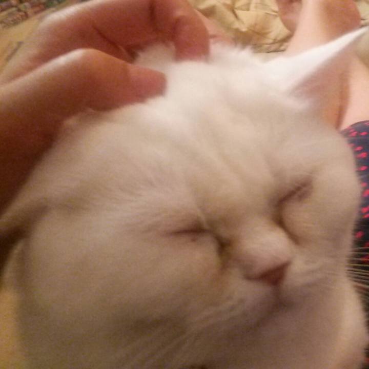 2cbc558b 33ab 42f2 a20b 9afa6b8b0d30