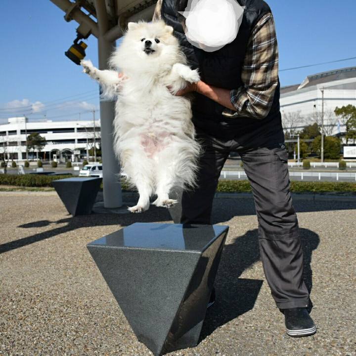 2cbc6bd8 325d 4f31 9b56 0a54dfdedd71