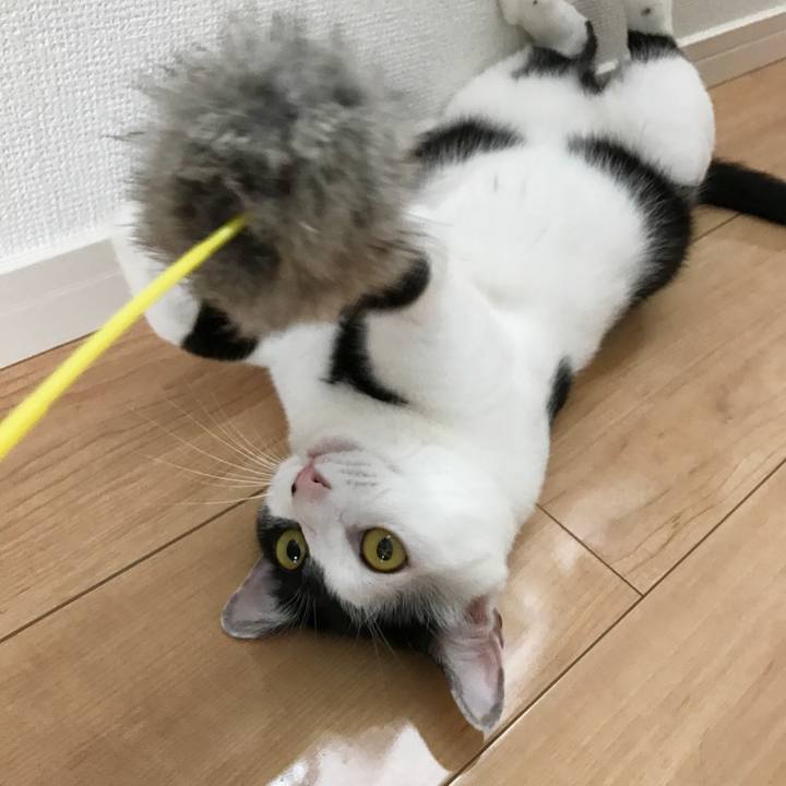 2cbcb60a ebd0 4de9 8841 b742003cc053