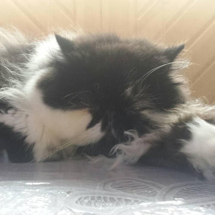 2cbce856 61b3 423d 8fda 999e6a26fe66