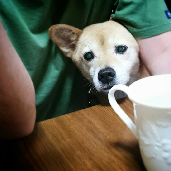 2cbd9fe2 5a73 40e5 ac26 d69bdac3be25