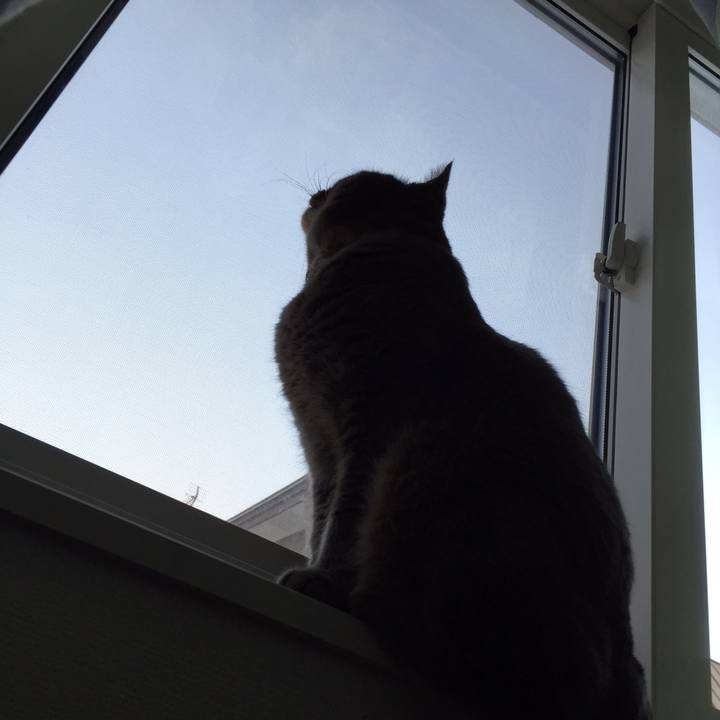 2cbdd349 e645 4ae2 bd54 a64e5fa3b15c