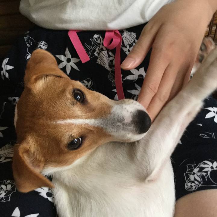 2cbe8102 655b 4ec0 a114 be7a2387f6f1