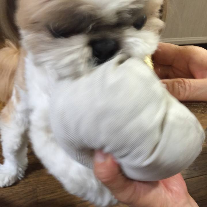 2cbe9a7b cd32 4707 804e 5cc648bb5748