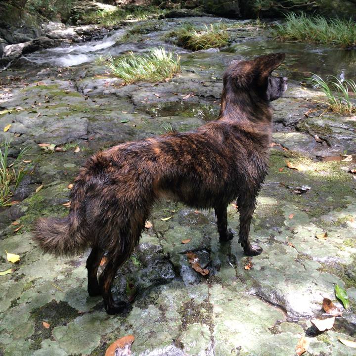 2cbef269 8d10 4d5c a417 a701a038db0f