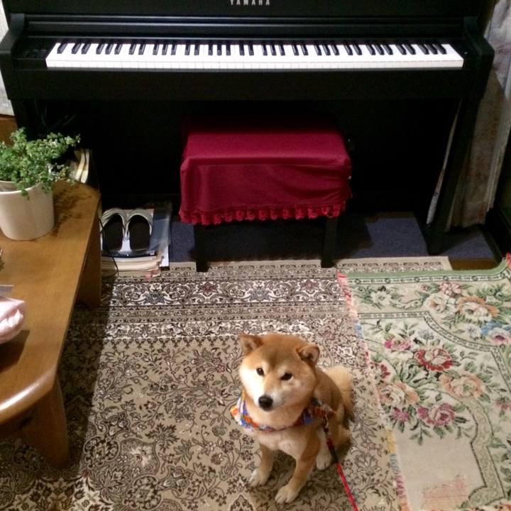 2cbf0704 5071 47b7 9640 f0629cec735e