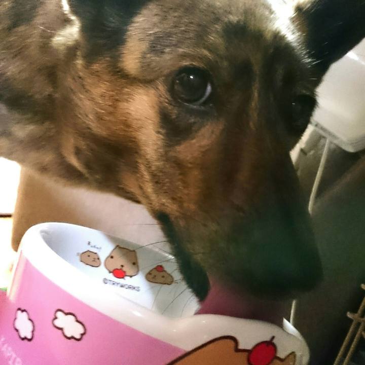 2cbf244b 09d8 4b95 b93a a11fff27594a