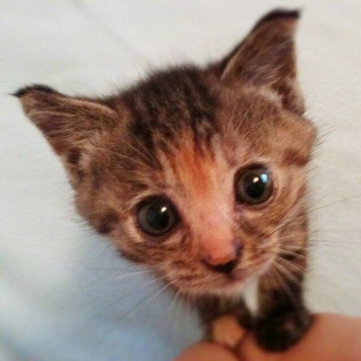 2cbf57b6 565c 4000 97d6 fc1a4f628e5a