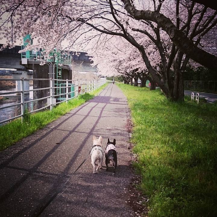 2cbf6c79 706b 4a44 baec 7a6d416c5d84