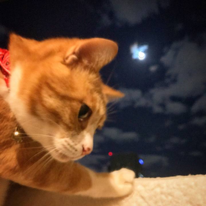 2cbf9154 c6c5 457e bff9 9fad53e9671c