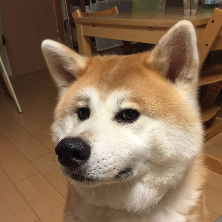 2cc02412 8d9f 405f bca3 b0da1a1aff75