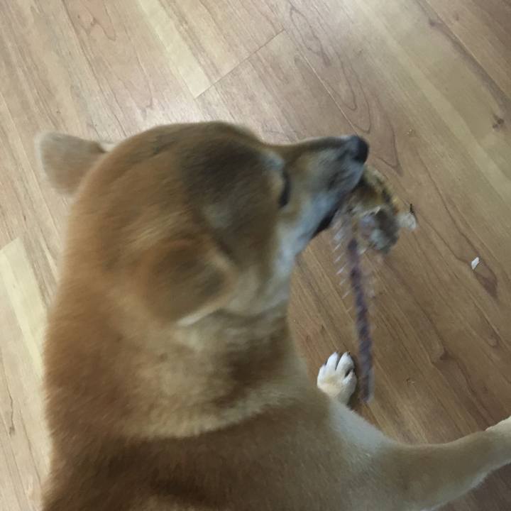 2cc05587 5388 42d8 b71f e6662c04873c